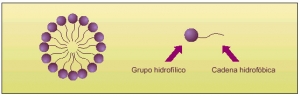 detergente lados